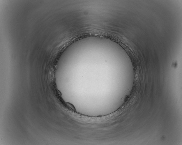X0000091570043200708201001