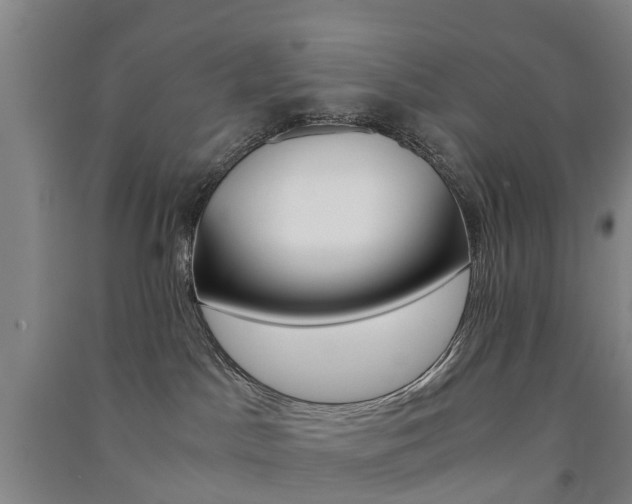 X0000091570045200708201001