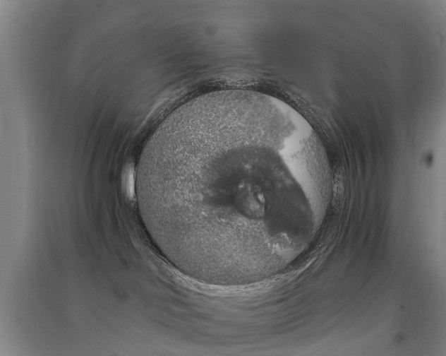 X0000091570046200708201001