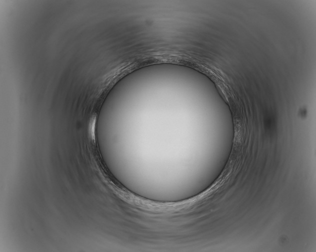 X0000091570047200708201001