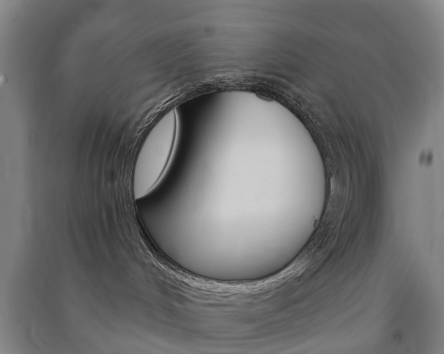 X0000091570048200708201001
