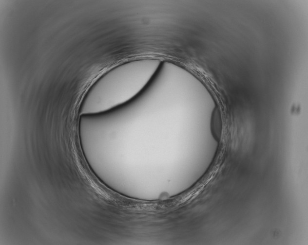 X0000091570049200708201000