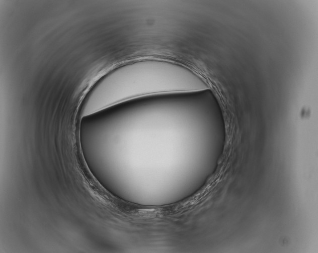 X0000091570050200708201000