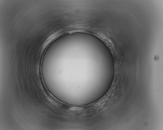 X0000091570051200708201000