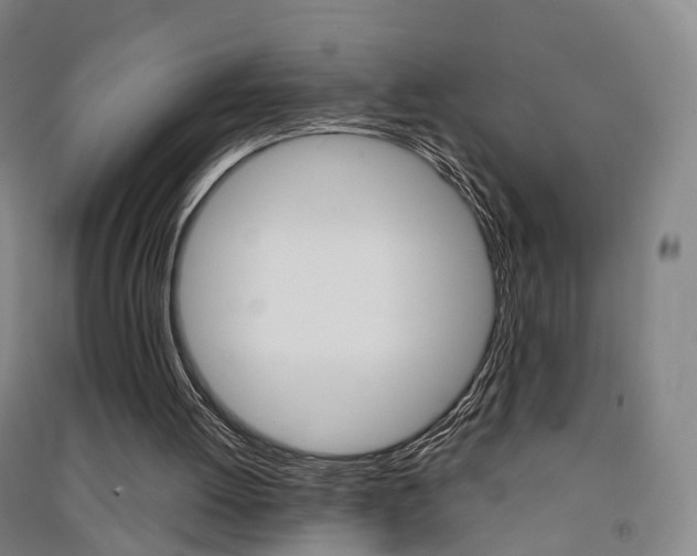 X0000091570052200708201000