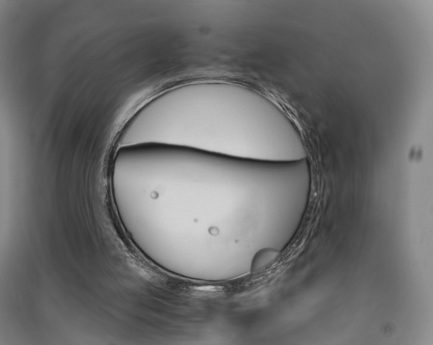 X0000091570053200708201000