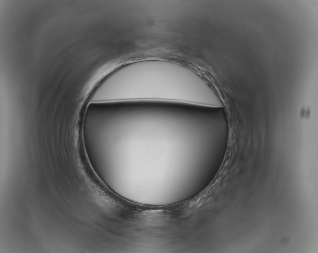 X0000091570054200708201000
