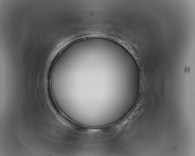 X0000091570055200708201000