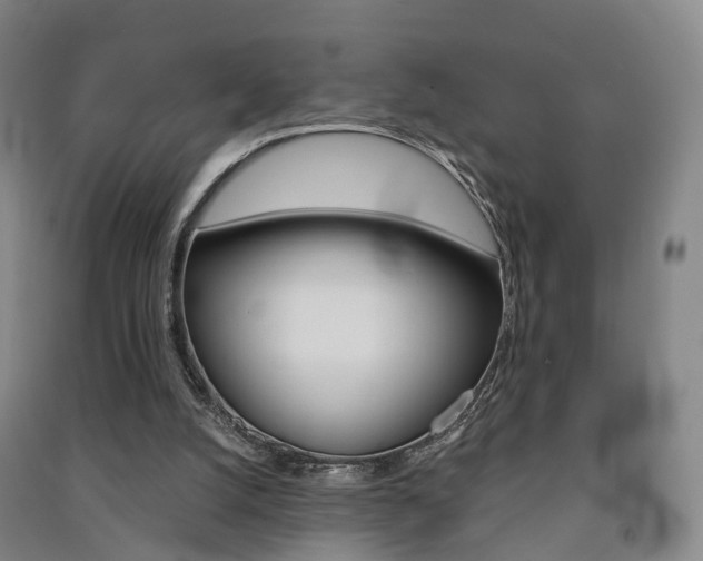 X0000091570056200708201000