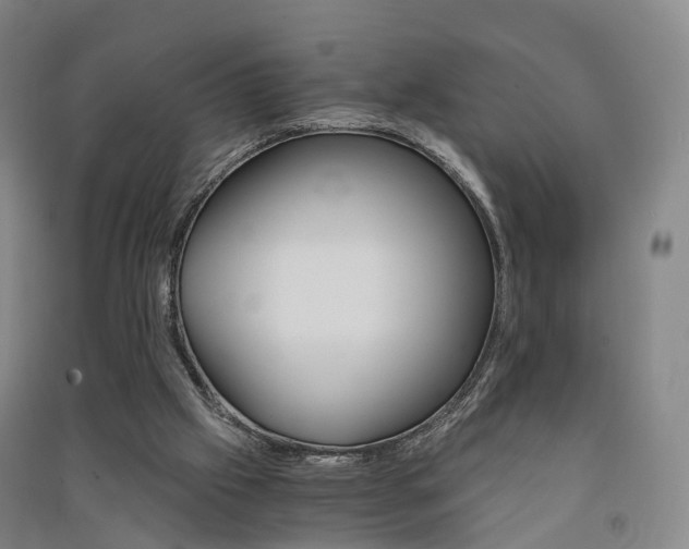 X0000091570057200708201000