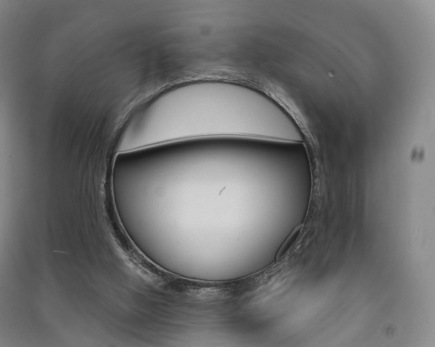 X0000091570058200708201000