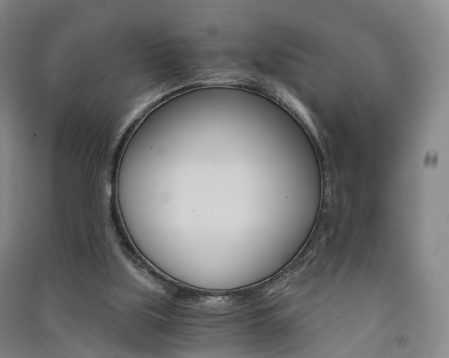 X0000091570059200708201000