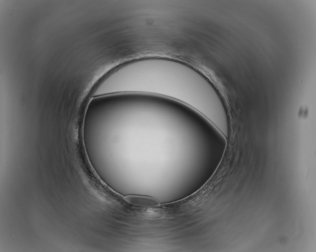X0000091570060200708201000