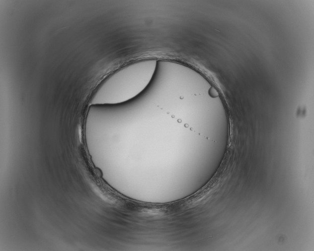 X0000091570061200708201000