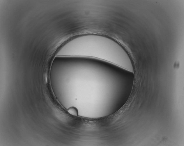 X0000091570062200708201000