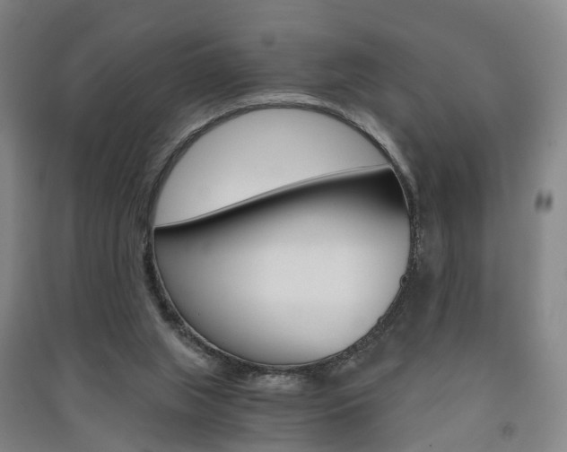 X0000091570063200708201000