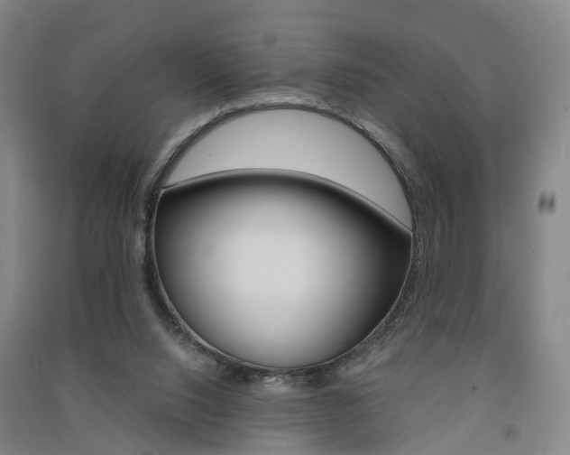 X0000091570064200708201000