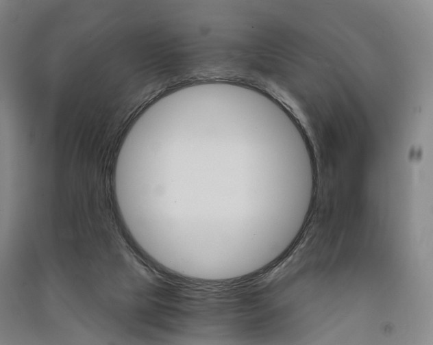 X0000091570065200708201000