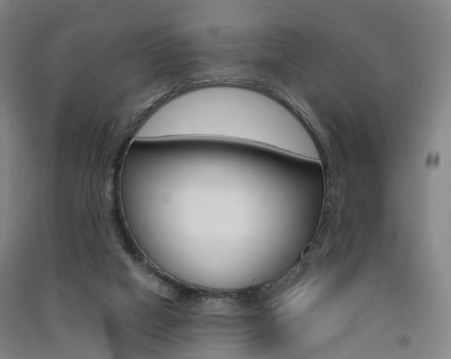 X0000091570066200708201000