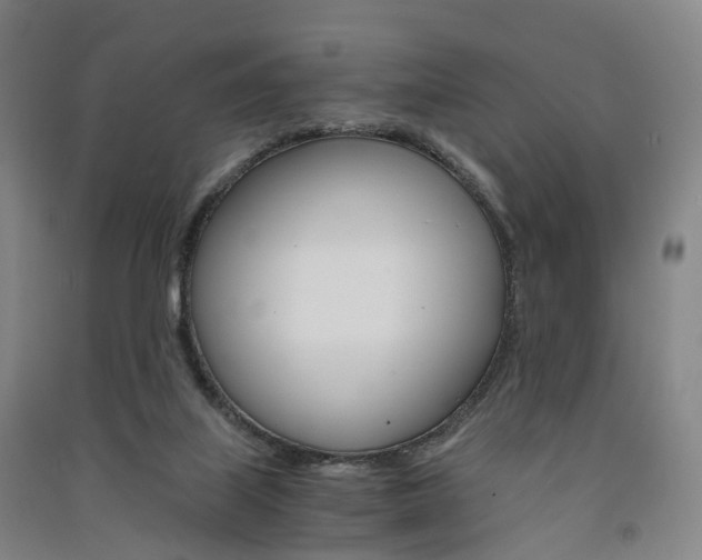 X0000091570067200708201000
