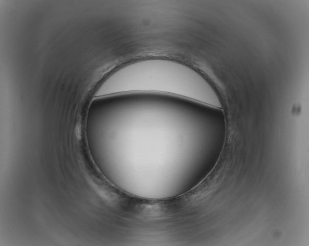 X0000091570068200708201000