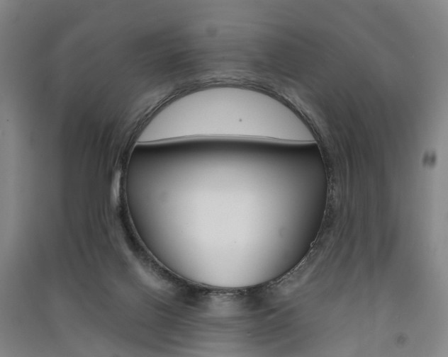 X0000091570070200708201000