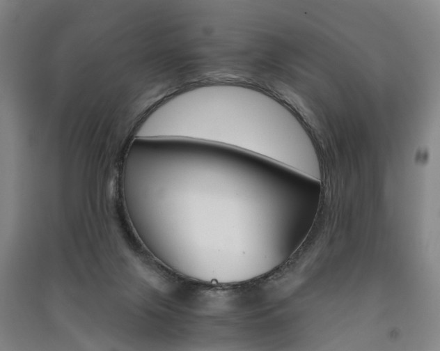 X0000091570071200708201000