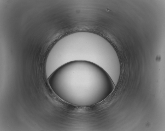 X0000091570072200708201000