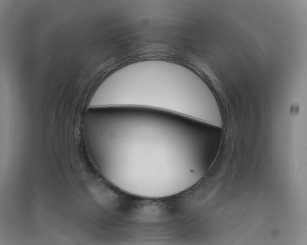 X0000091570073200708201000