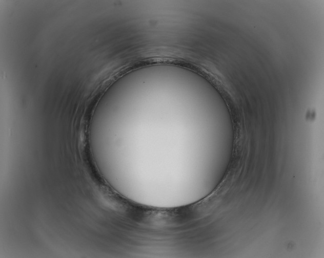 X0000091570074200708201000