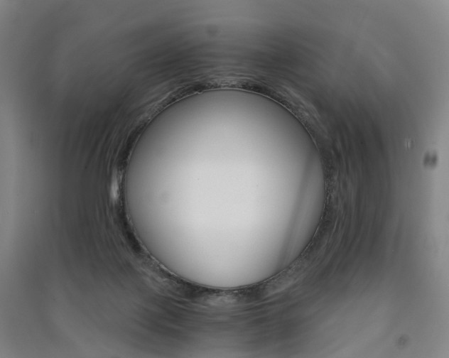 X0000091570075200708201000