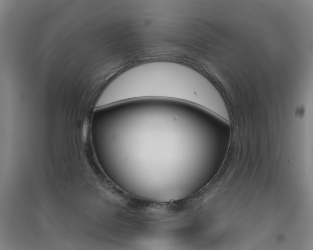 X0000091570076200708201000