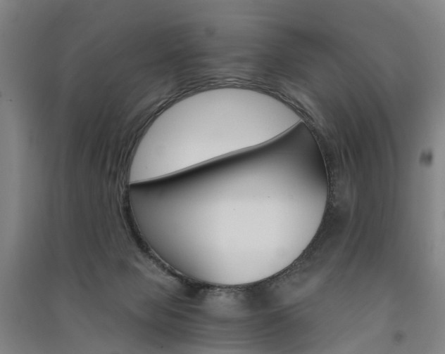 X0000091570077200708201000