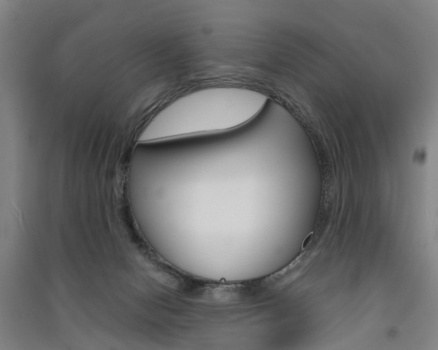 X0000091570078200708201000