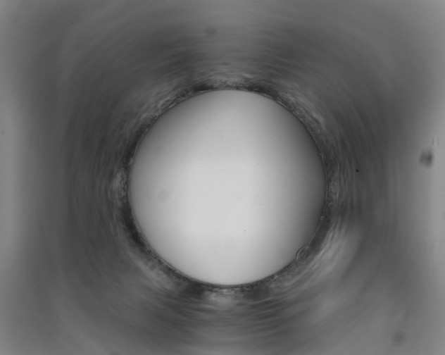 X0000091570079200708201000
