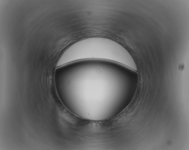 X0000091570080200708201000