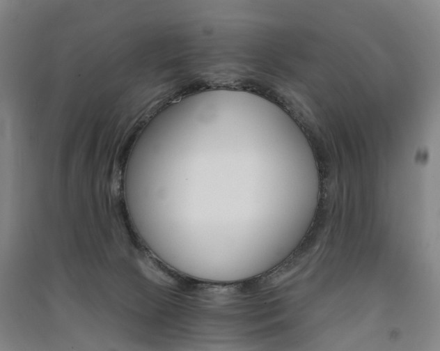 X0000091570081200708201000