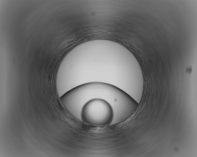 X0000091570082200708201000