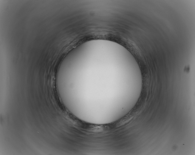 X0000091570083200708201000