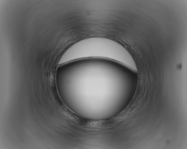 X0000091570084200708201000