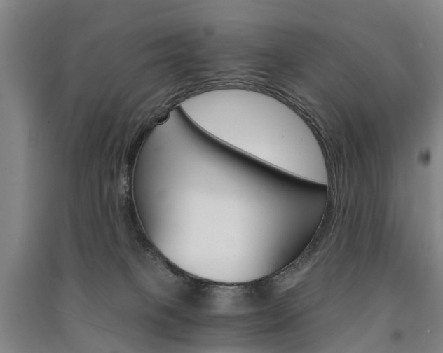 X0000091570085200708201000
