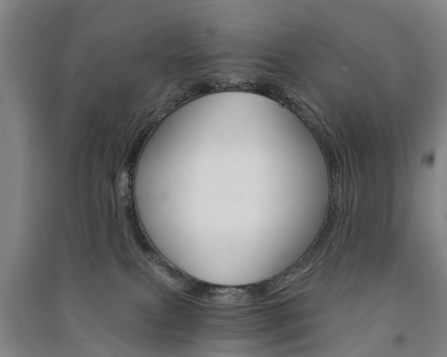 X0000091570087200708201000