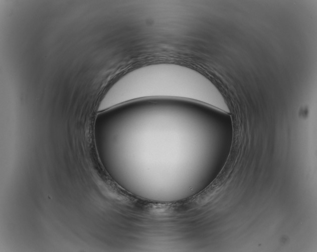 X0000091570088200708201000