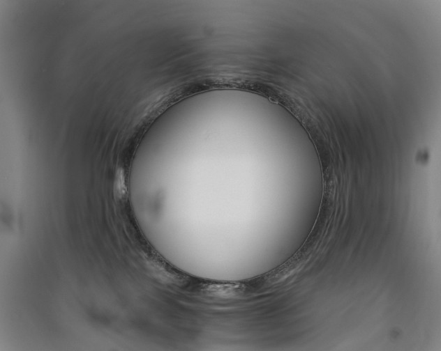 X0000091570089200708201001
