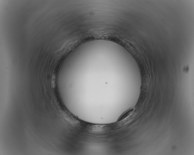 X0000091570090200708201001