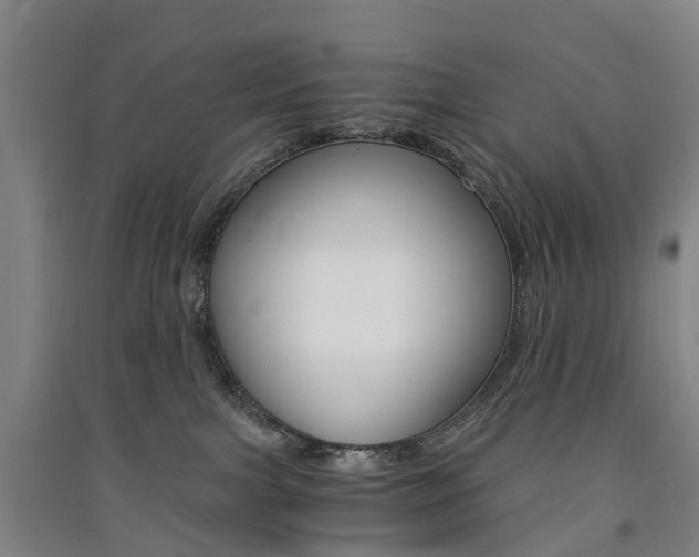X0000091570091200708201001