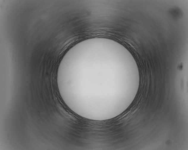X0000091570092200708201001