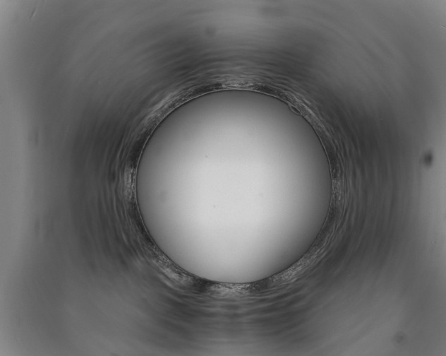 X0000091570093200708201001