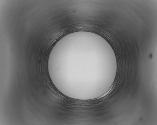 X0000091570094200708201001