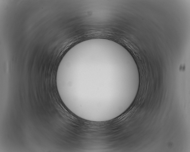X0000091570096200708201001